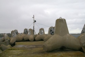 tetrapods